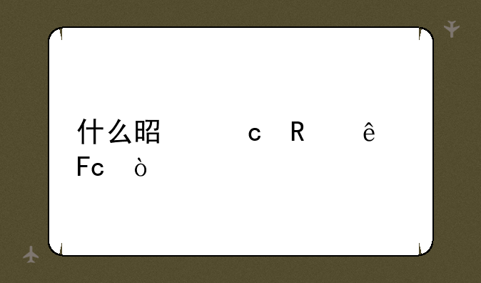 什么是聘用人员？