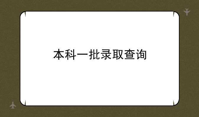 本科一批录取查询