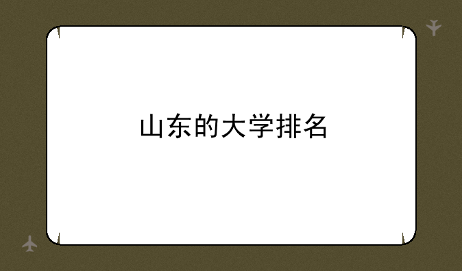 山东的大学排名