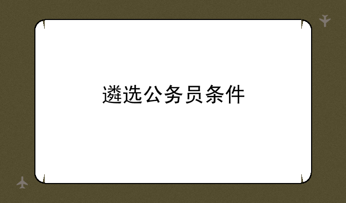 遴选公务员条件