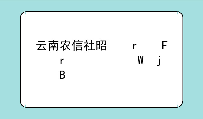 云南农信社是在周末考试的吗