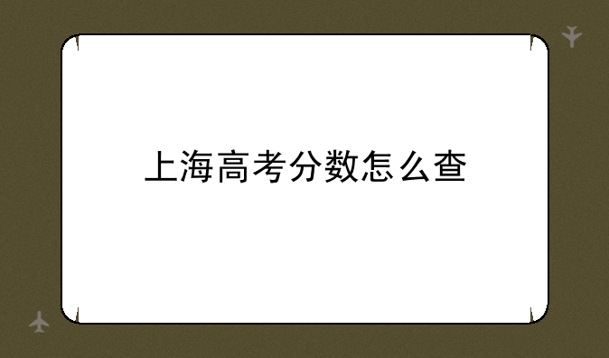 上海高考分数怎么查