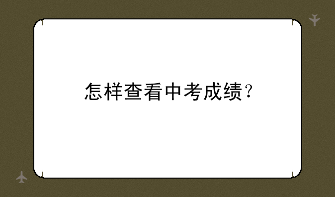 怎样查看中考成绩？