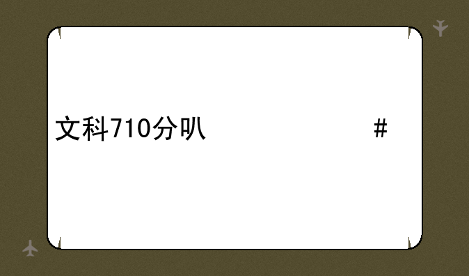文科710分可什么大学