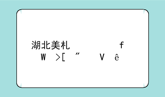 湖北美术学院录取分数线