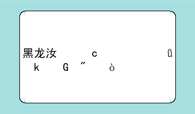 黑龙江高中一共多少分？