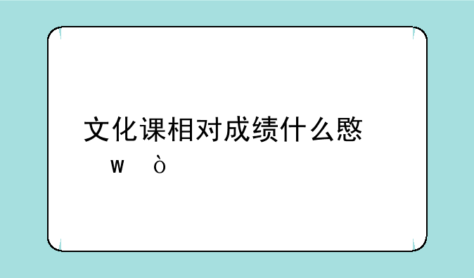 文化课相对成绩什么意思？