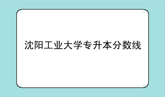 沈阳工业大学专升本分数线