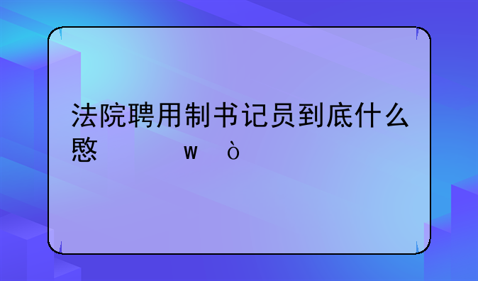 法院聘用制书记员到底什么意思？