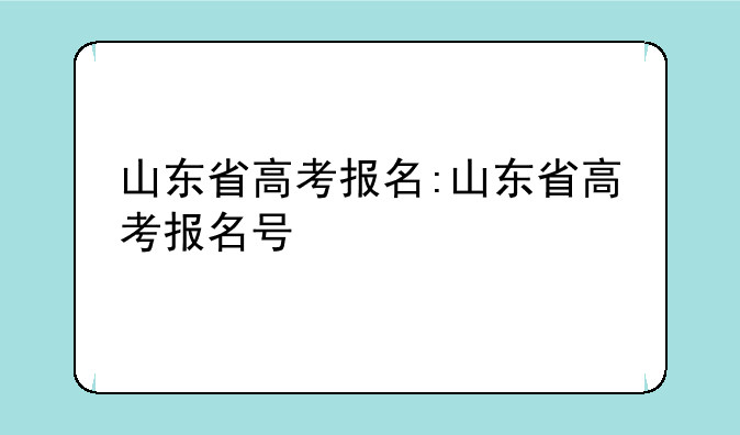 山东省高考报名:山东省高考报名号